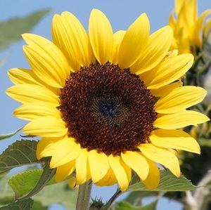 Meet your Posher, Yadira